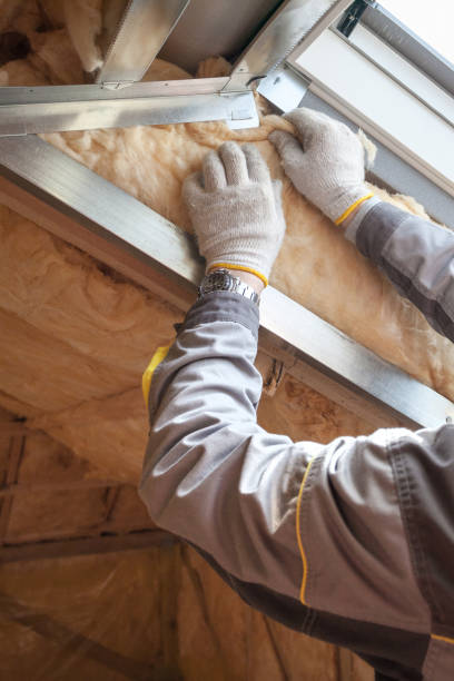 Best Residential Insulation in Morenci, MI