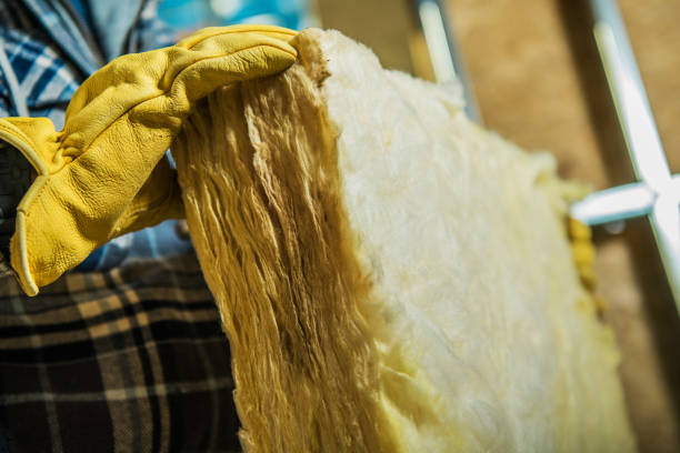 Best Specialized Insulation Services in Morenci, MI